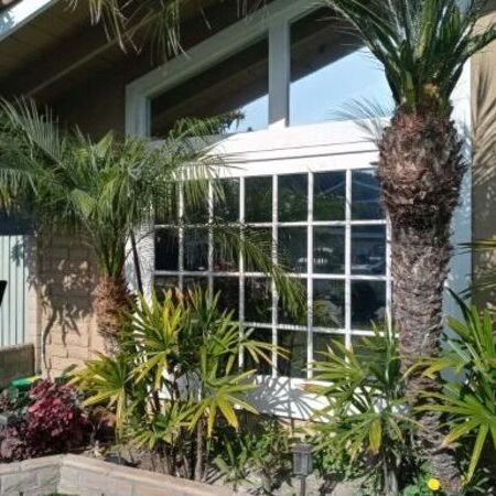 Exterior view of a foiled window